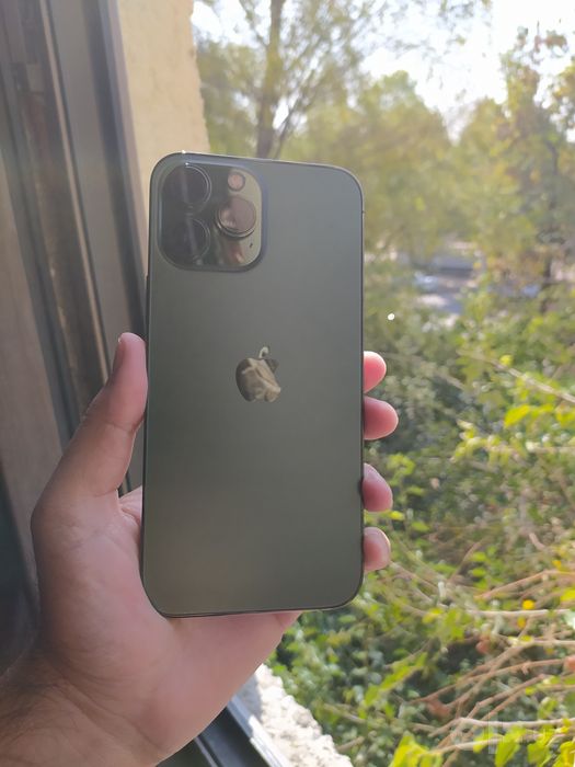 Iphone 13 pro max ideal