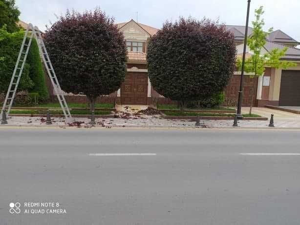 Ландшафтный дизайн, садовник газон арча ёлка  Уборка Благоустройство