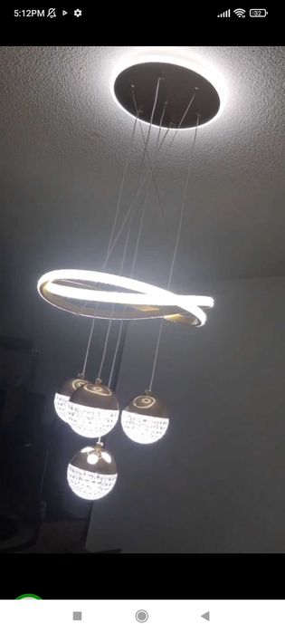 Елегантен полюлей