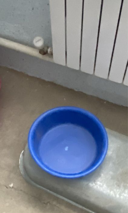 Продам тазик 30 л .