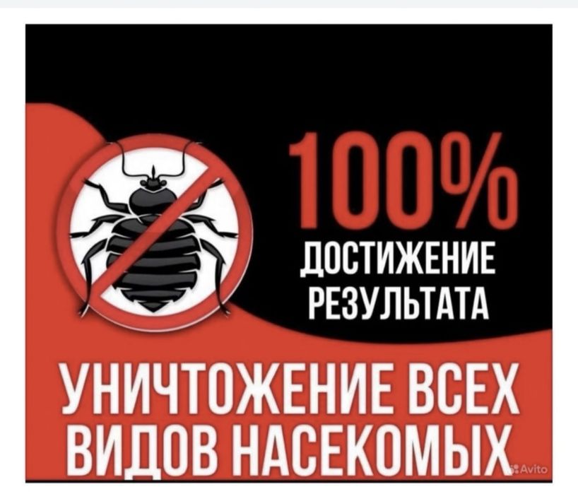 услуги по уничтожению клопов тараканов термитов