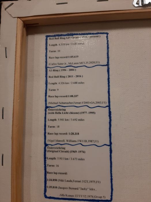 Tablou canvas formula 1 redbull