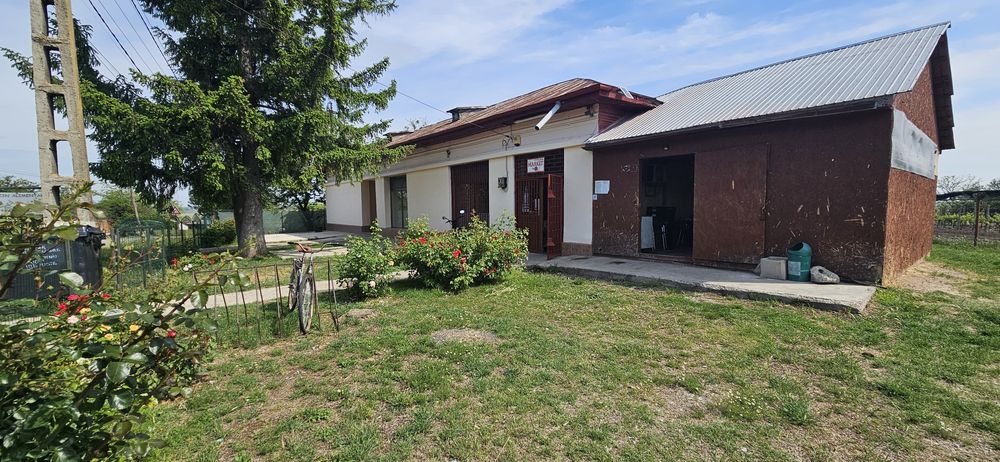 Vânzare/închiriere