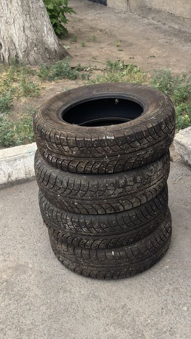 резина зима шипы