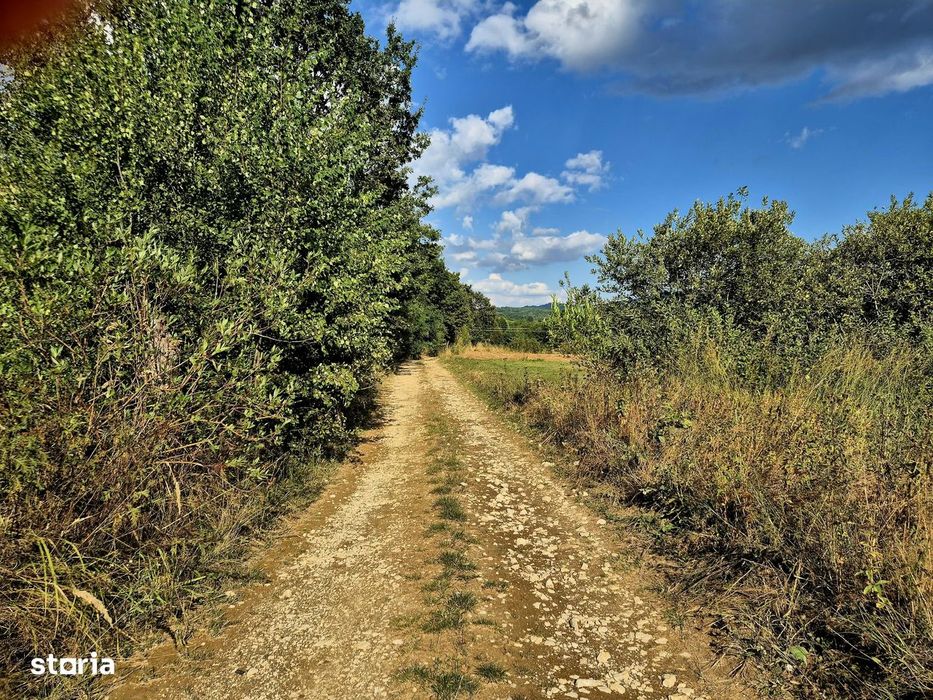Șinca Nouă – 8.439 mp pentru agricultură, apicultură și investiție