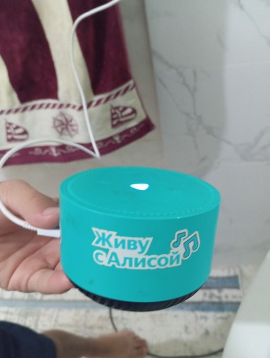 Алиса буу сауда бар