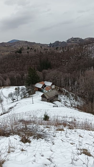 Vând teren+gospodărie