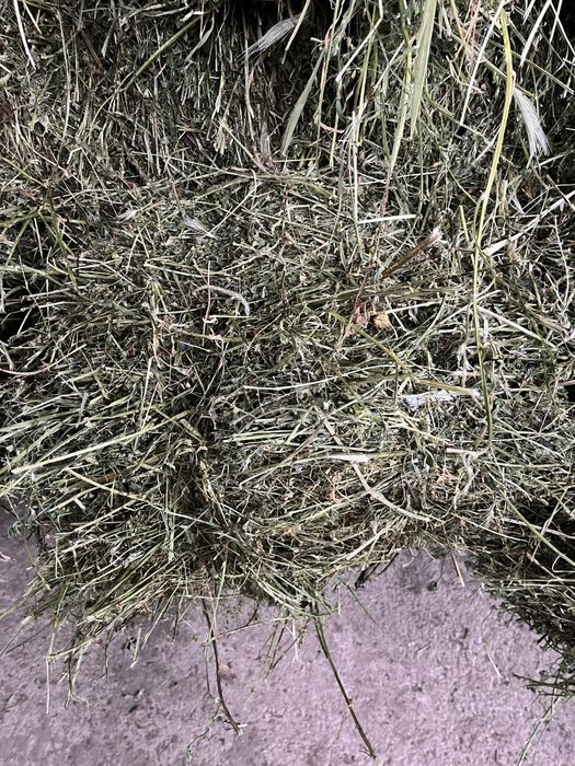 Продавам Бали Царевичак,Сено и Люцерна реколта 2025