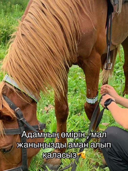 Светоотражающие лента