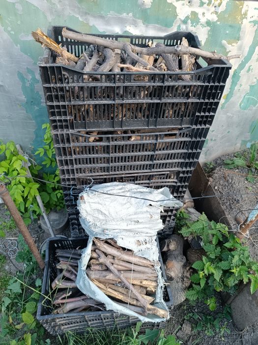 Дрова для бани бесплатно