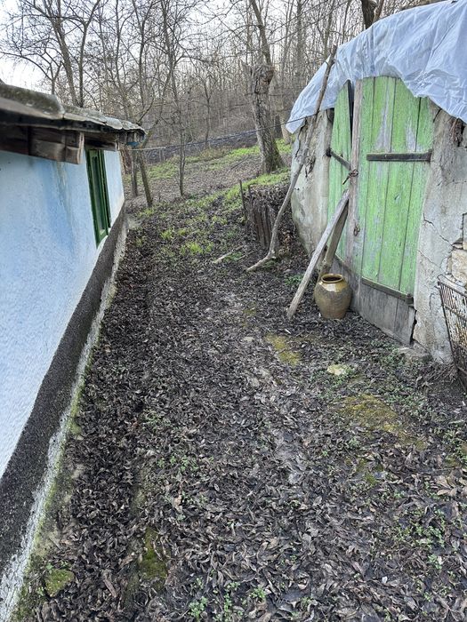 Casa de vanzare batraneasca