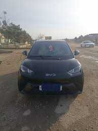byd seagull pad zakaz