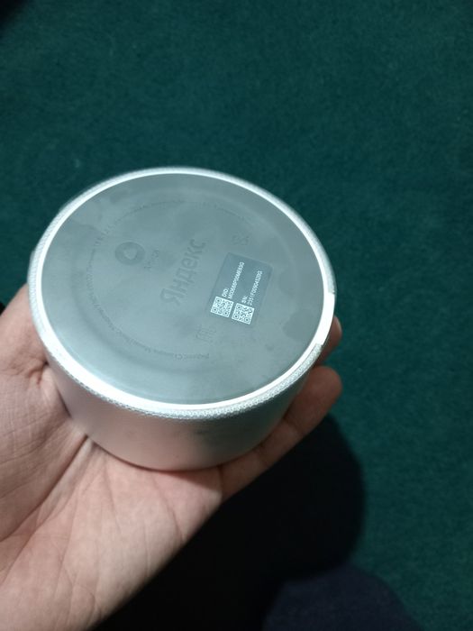 Alisa mini 2 aqlli kalonkasi