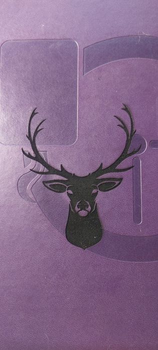 Лазерный гравировальный станок