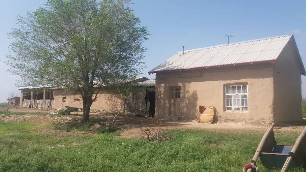 Дача 34 сотих сотилади