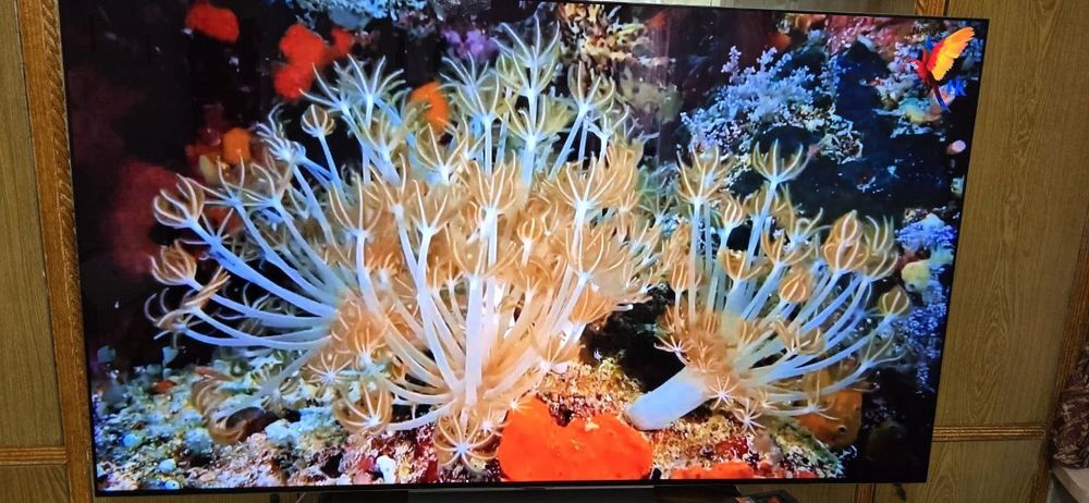 Продам телевизор Smart TV OLED C2 4K    77дюйм