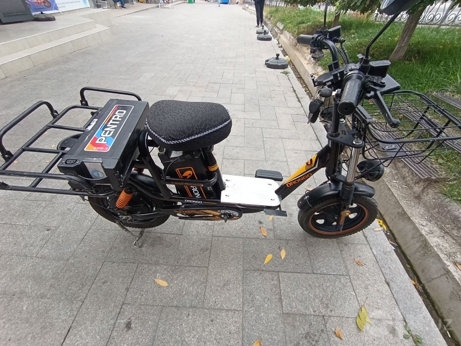 Drongo monster elektreveli