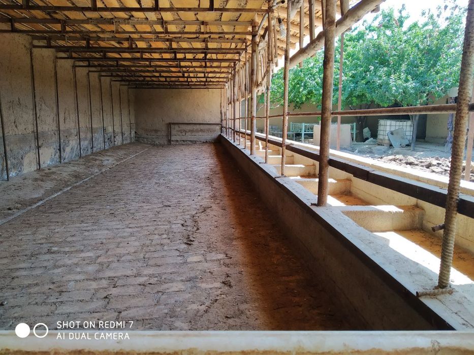 Арендага жой 6сотих