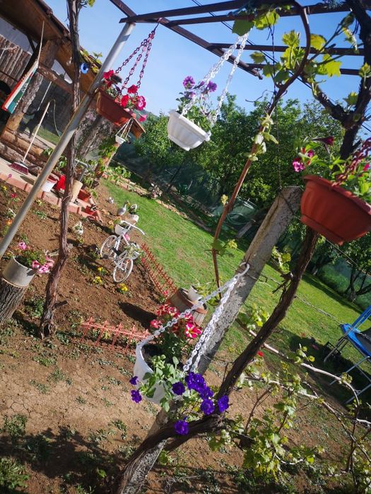 Продава се Къща в Стражица - 84 кв.м за 596 €/кв.м - Снимка #8