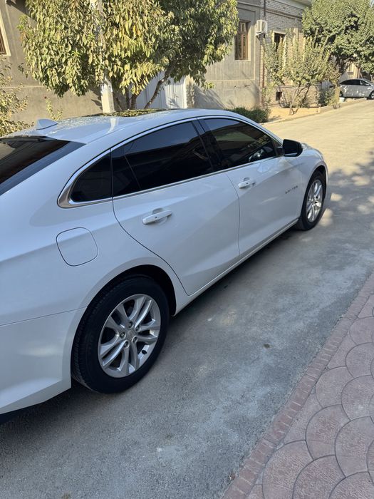 Malibu 2 2018 atmosferni