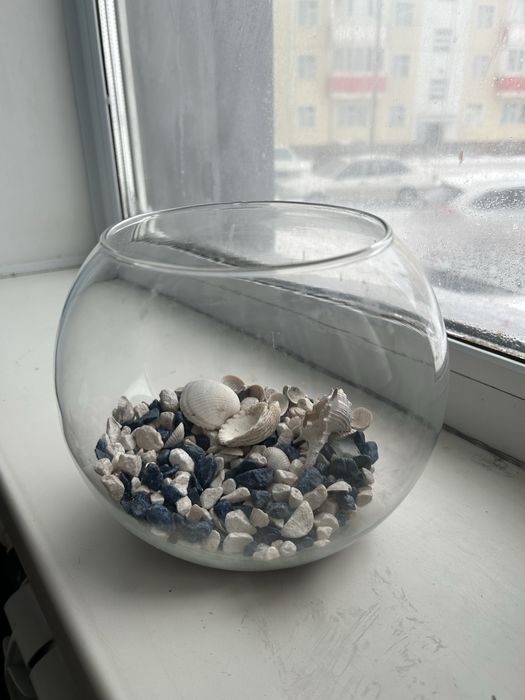 Аквариум для маленьких рыбок