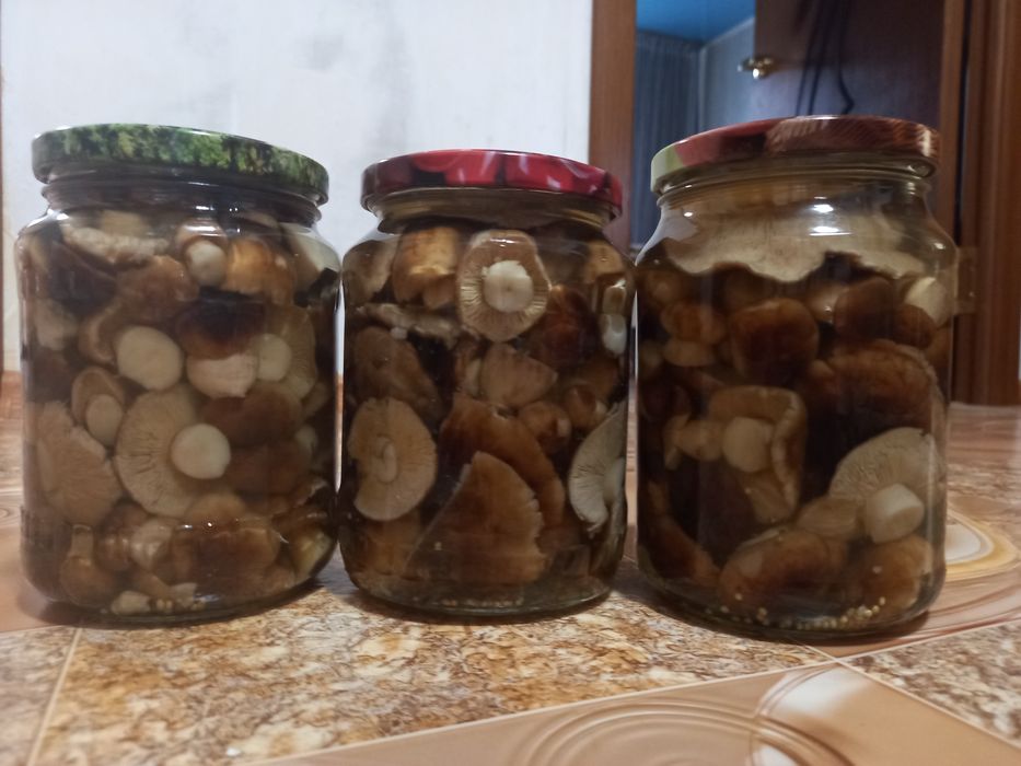 Продам грибы маринованные