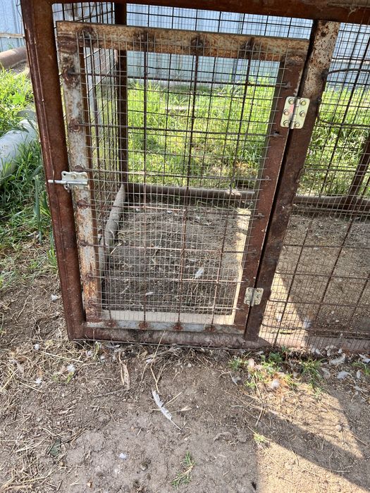 Клетка для циплят, кроликов,кур