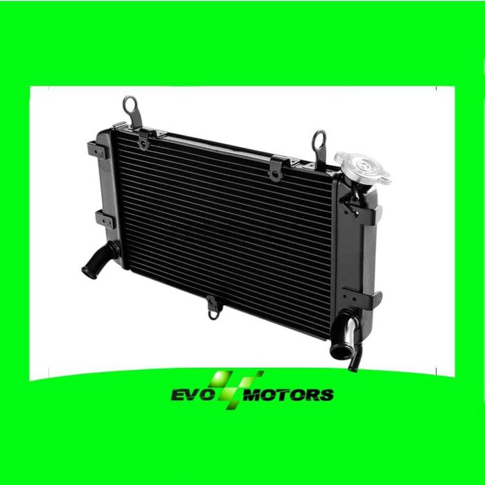 Radiator Kawasaki Ninja 400 500 Z400 Z500 2018-2024 A1343