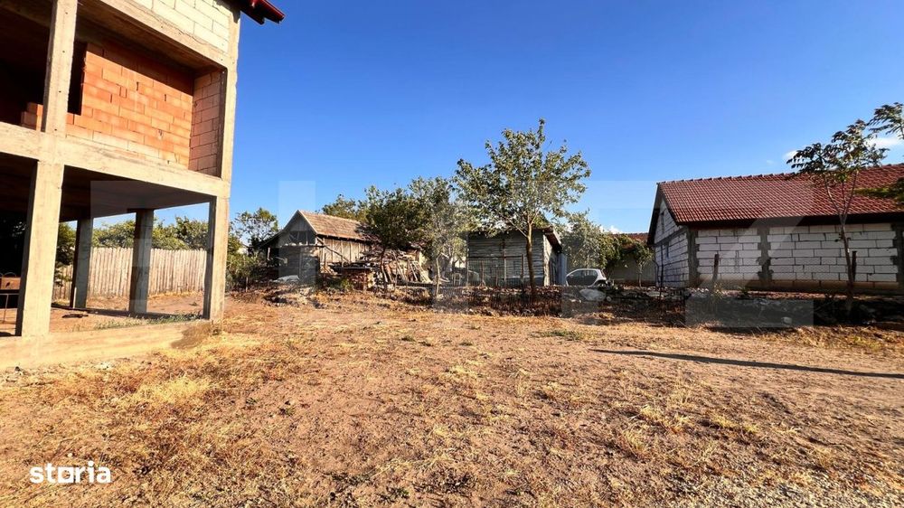 Doua case, spatiu comercial, casa tip pensiune Goicea Dolj