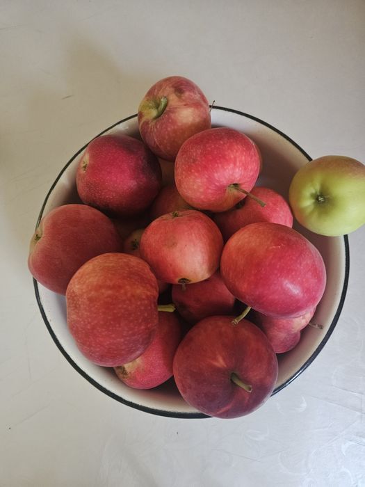 Продаю домашние яблоки