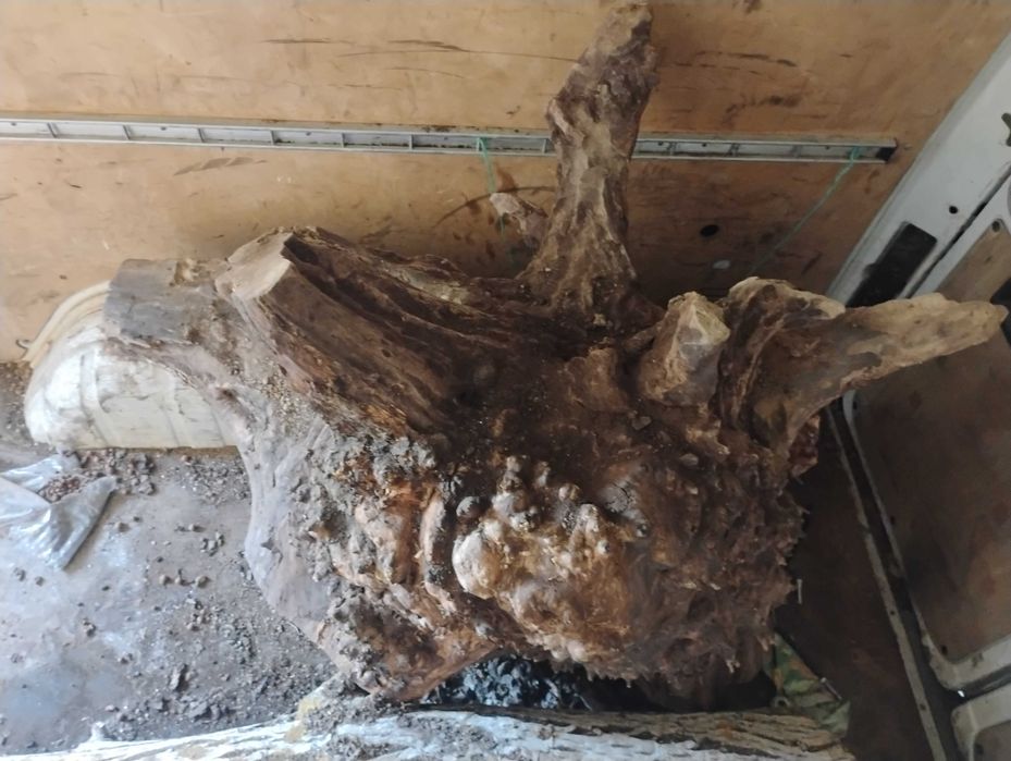 Дървен материал от орех