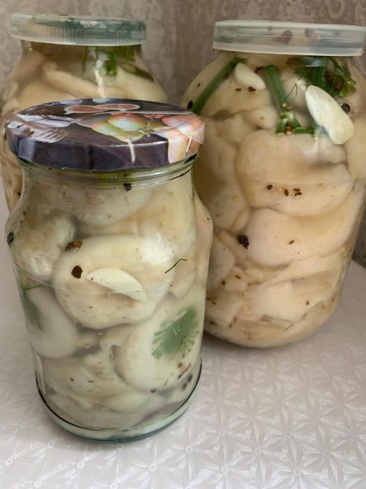 продам грибы грузди