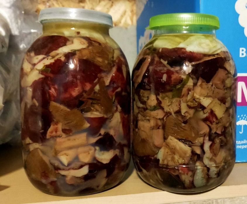 Продам соленые грибы