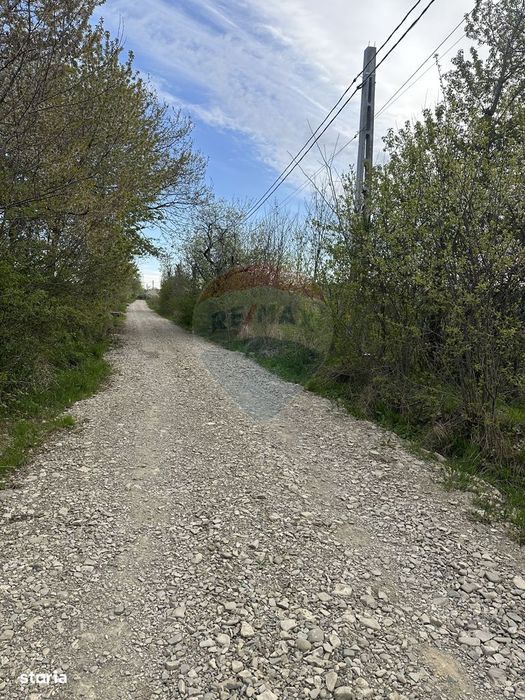 Teren 3,000mp Oslobeni / Strada Oslobeni punct GRADINA