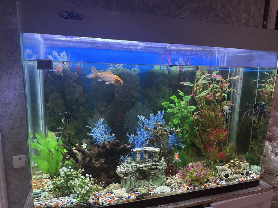 Продаемся аквариум 600 литров