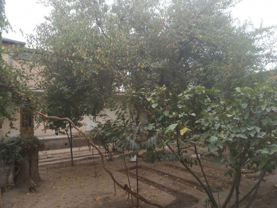 Арзон нархда участка сотилади