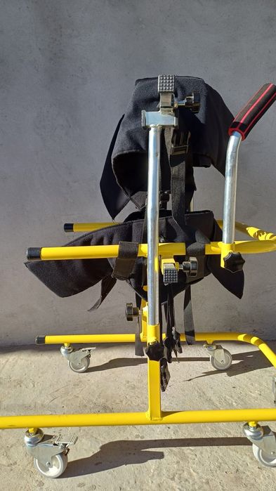 Premergător copii cu nevoie speciale