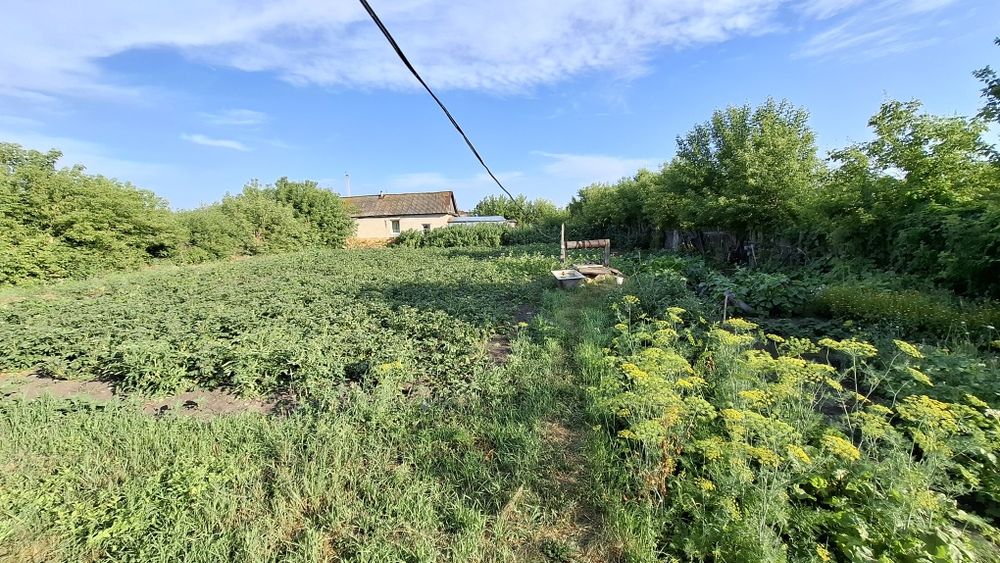 Продам дом в БОРОВСКОМ