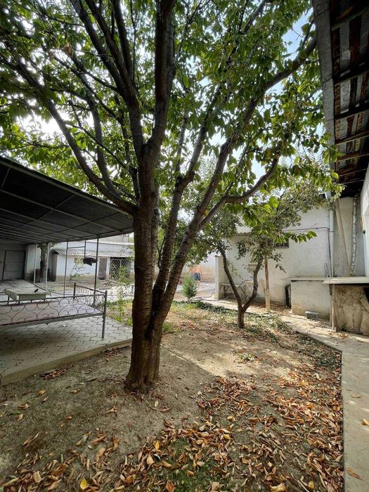 5 соток ГОРИТ СРОЧНО участок в элитной махалле! Греческий городок ттз