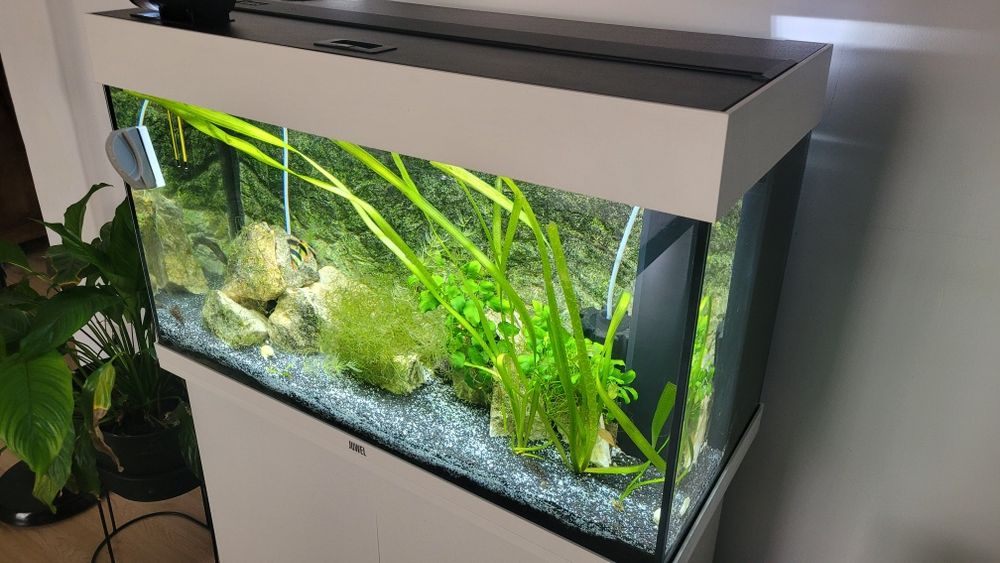 Acvariu Juwel  complet echipat 125L +plante , pietre etc