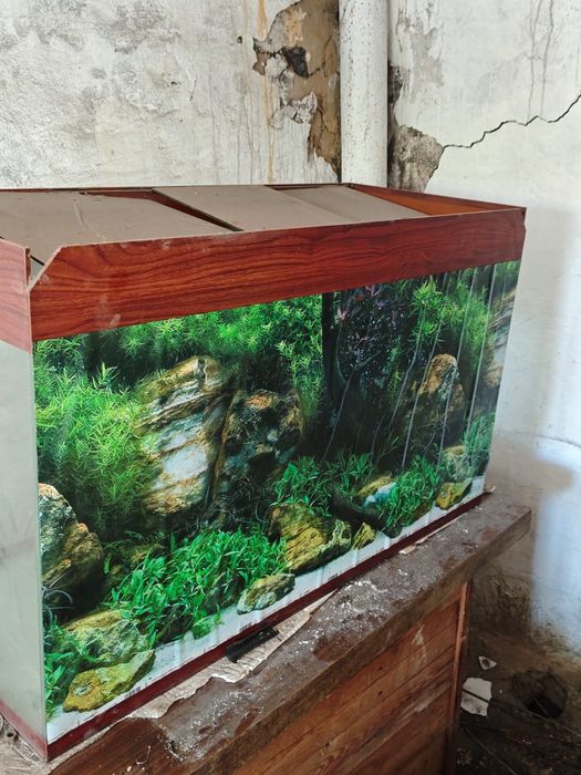 Аквариум. Б/У.  100×60×42.