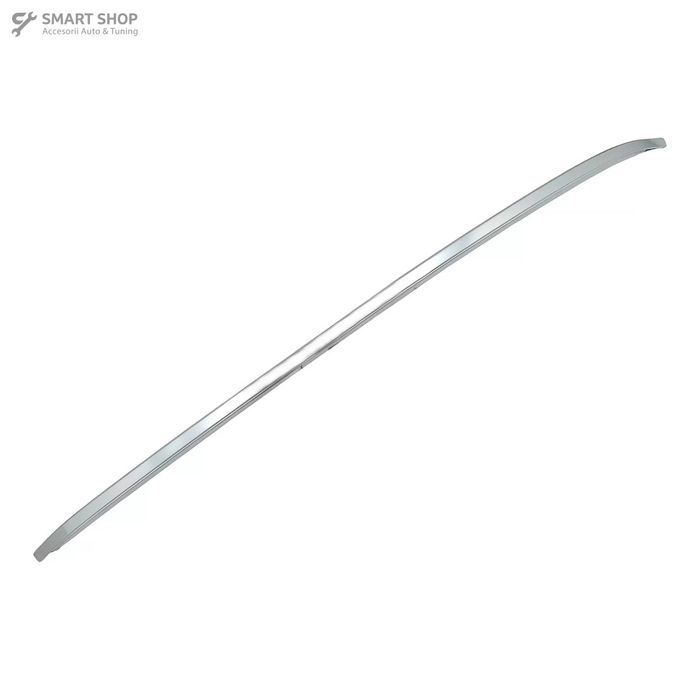 Bari Decorative Longitudinale Plafon BMW X6 F16 (2015-2019) Aluminiu