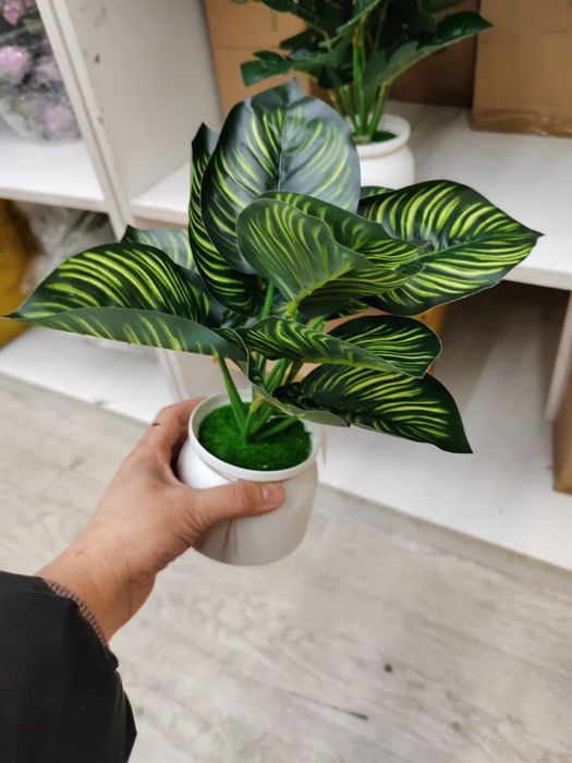 Искусственные  деревья, цветы