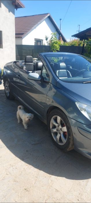 Cabrio Peugeot 307 cc
