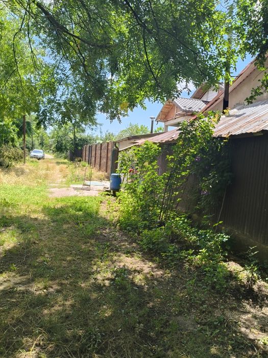 **Vând teren intravilan – 2.500 mp – Roșiori de Vede, Teleorman**