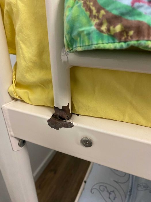 Двойно легло, тип вишка