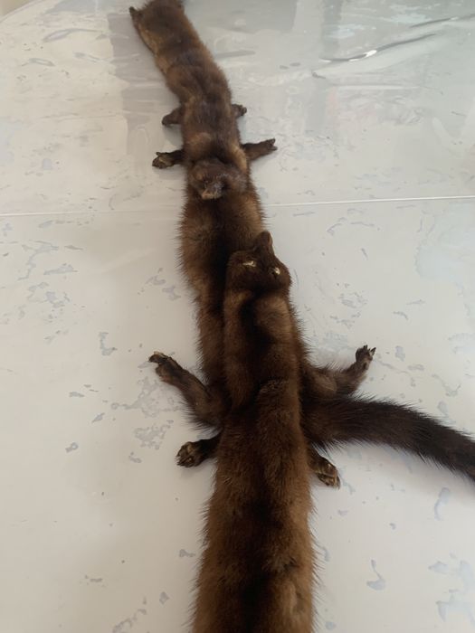 Gulere din blana naturala