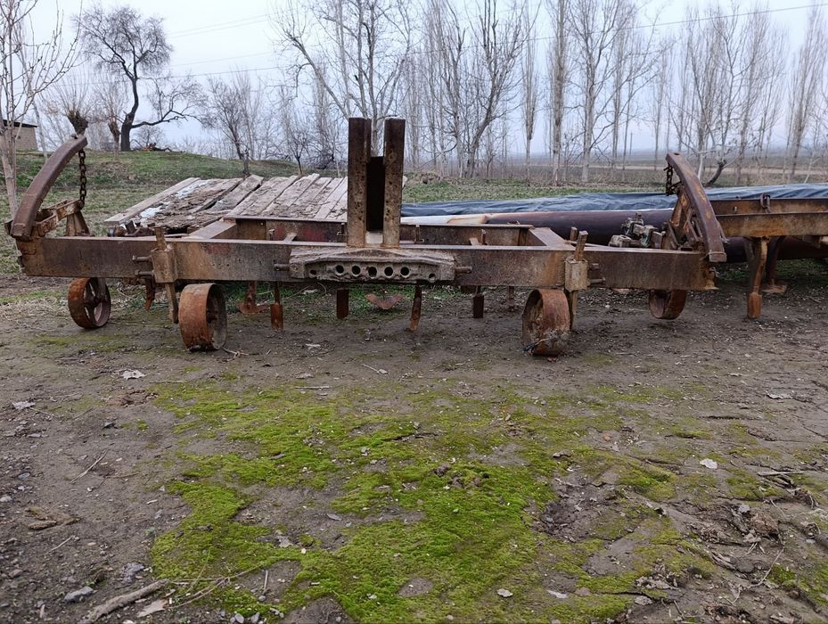 Chizil bilan kultvatsa