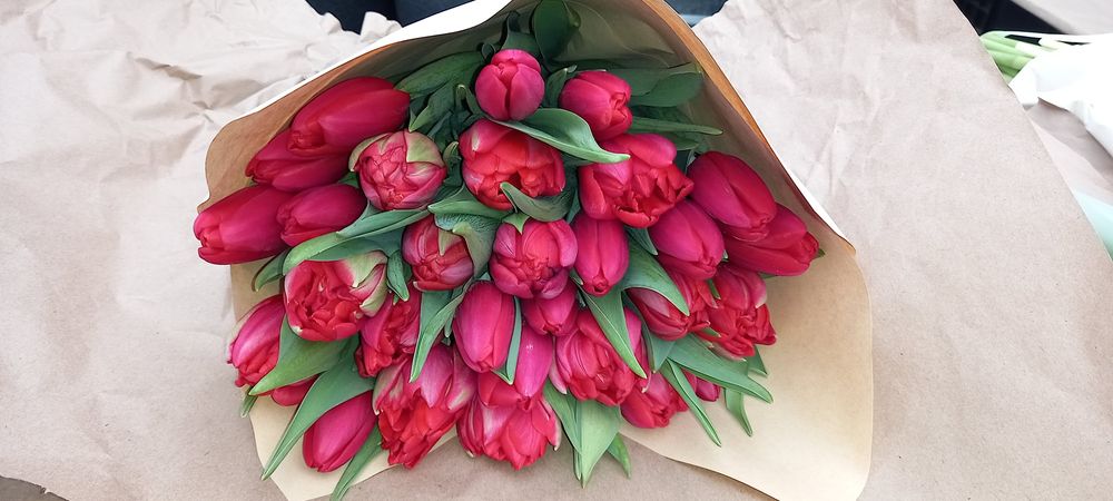 Тюльпаны на Восточке!