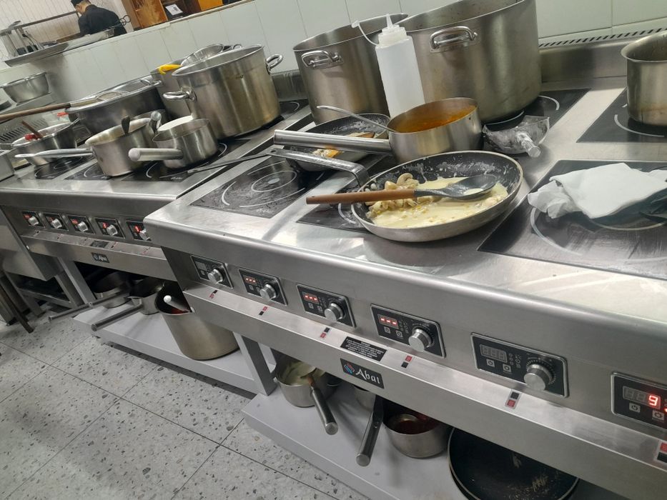 Ремонт плиты духовок фритюрницы